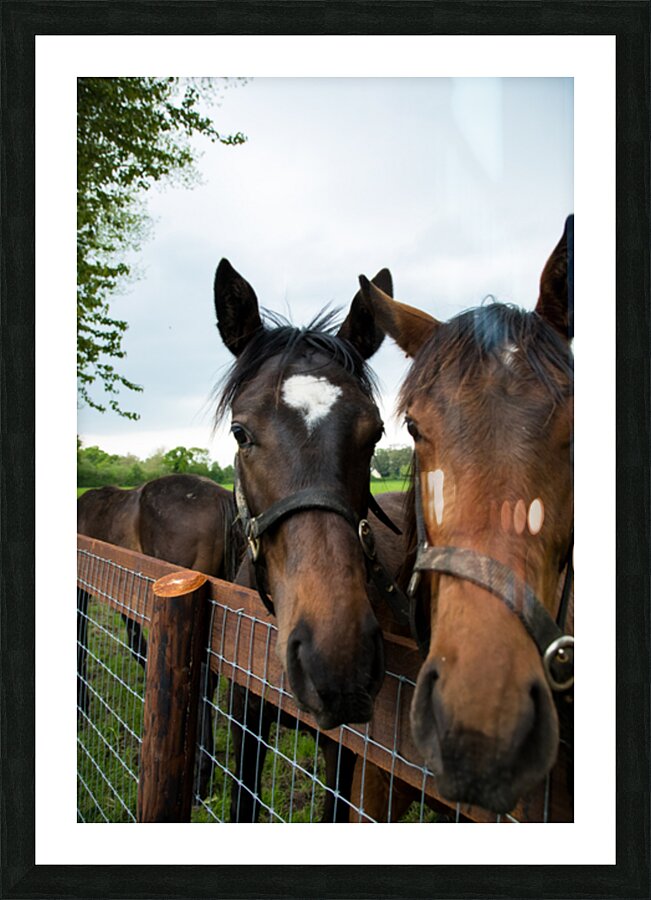 927A5192 Picture Frame print