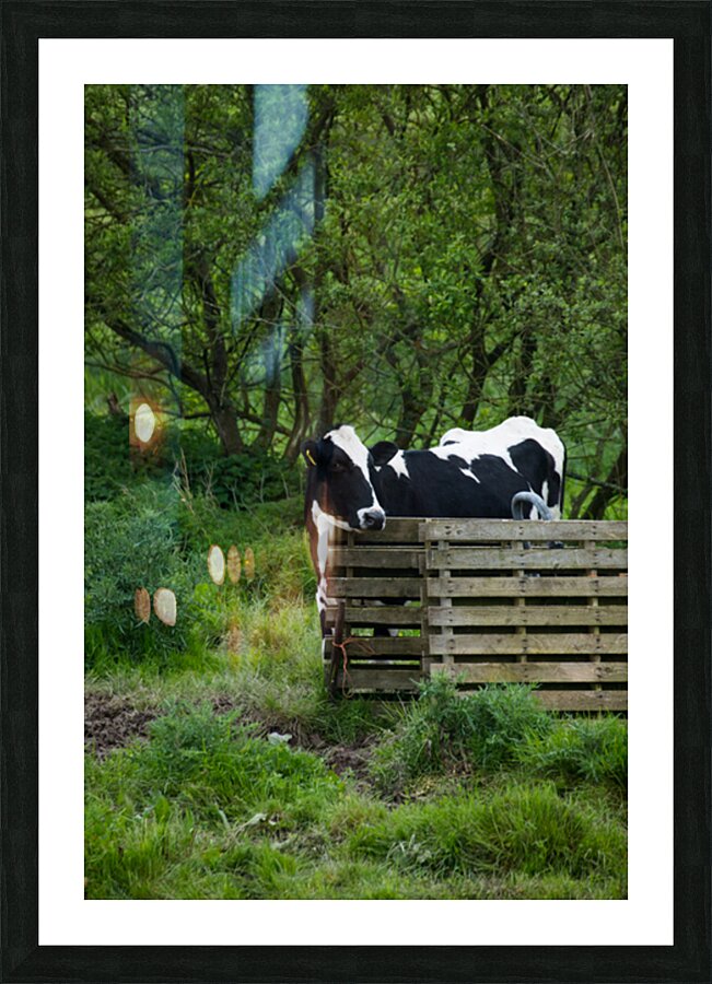 927A7466 Impression et Cadre photo