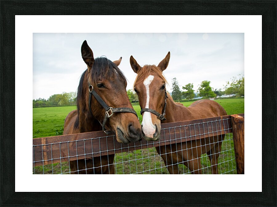 927A5197 Picture Frame print