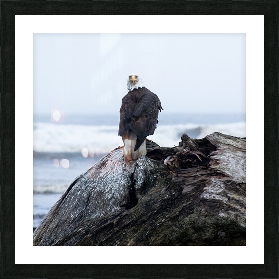 Caught Square Impression et Cadre photo