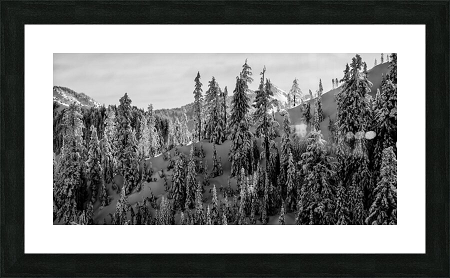 927A5120 Picture Frame print