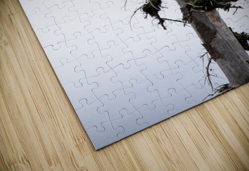 Stenosis Kaitlin Gotcher puzzle