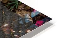 Felled HD Metal print