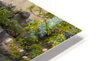 Meet Cute II HD Metal print