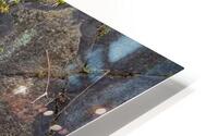 Meet Cute HD Metal print
