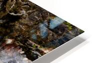 27A0043 HD Metal print