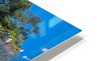 27A0569 Edit HD Metal print