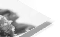 927A3759 Impression metal HD