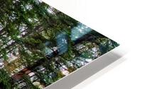 Wanderings II HD Metal print