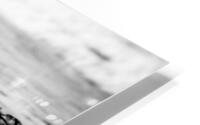 Hurry HD Metal print