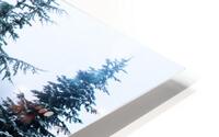 Asymmetry HD Metal print