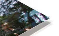 927A7843 HD Metal print