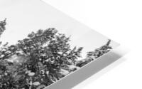 The Lasting Effort HD Metal print