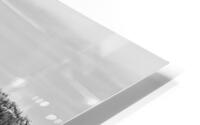 927A5115 Impression metal HD