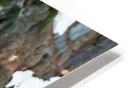 Reflection HD Metal print
