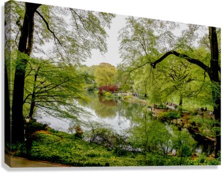 Spring In Central Park NYC Canvas Print