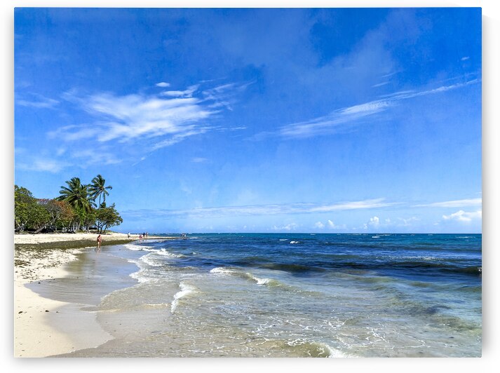 Dominican Repuublic Amber Coast Beach Strolling by Debra Martz Photography