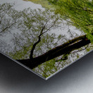 Spring In Central Park NYC Metal print