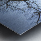 I Heart This Tree Painterly Metal print