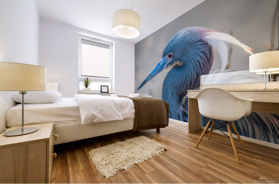 Tri colored Heron Portrait Mural print