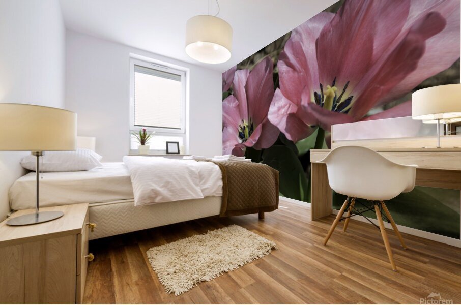 Double Pink Tulips Mural print
