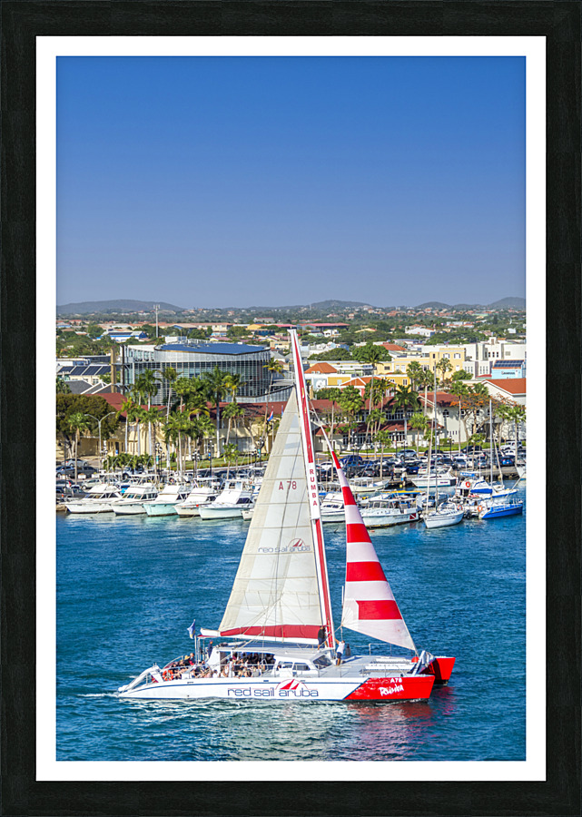 Red Sail Aruba Picture Frame print