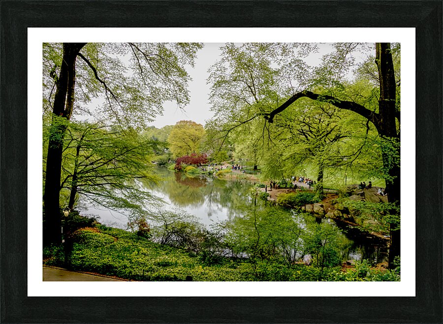 Spring In Central Park NYC Picture Frame print