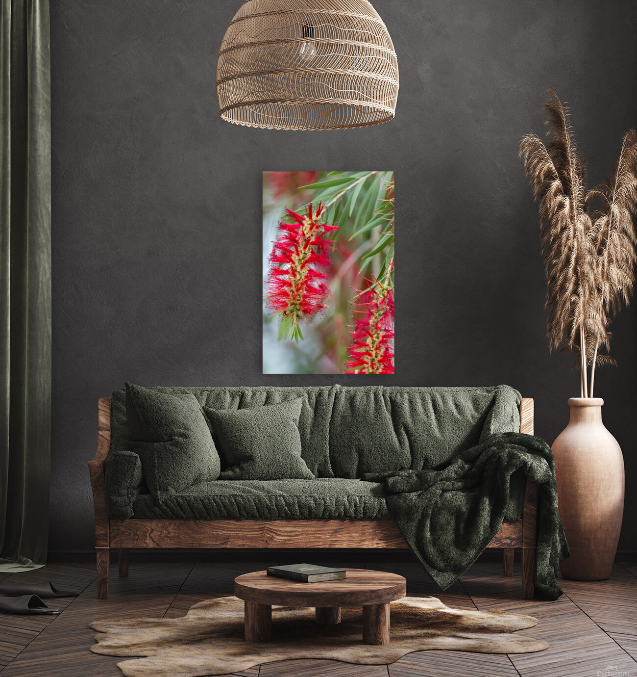 Weeping Bottlebrush Bloom Reproduction
