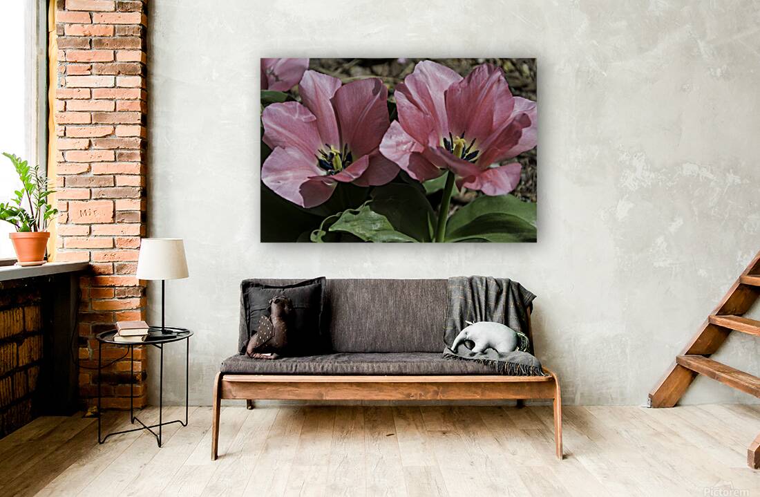 Double Pink Tulips Reproduction