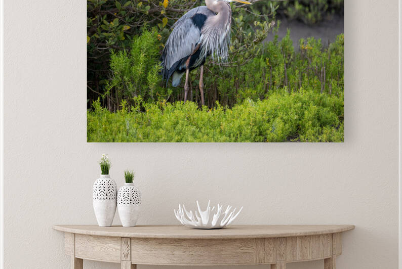 The Great Blue Heron Hiding In Plain Sight by Debra Martz Photography