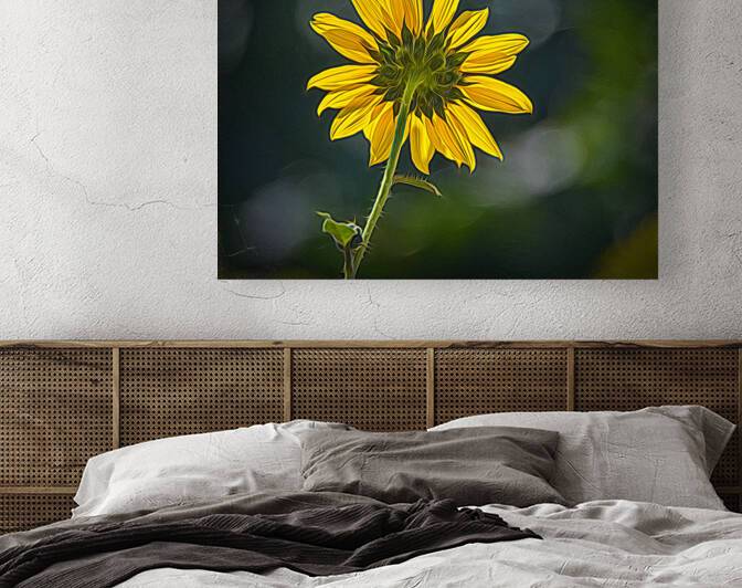 Sunny Sunflower Following the Sun by Debra Martz Photography