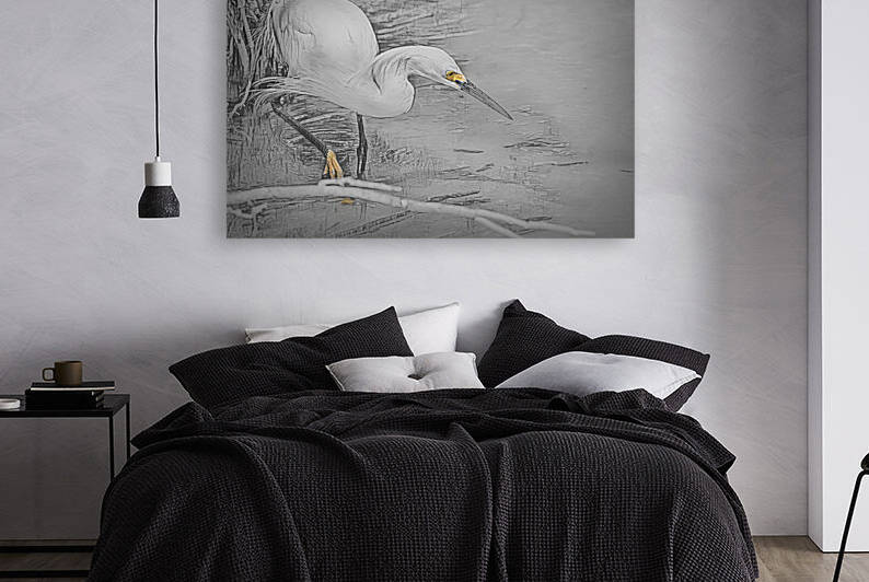 Snowy Egret Sketchy by Debra Martz Photography