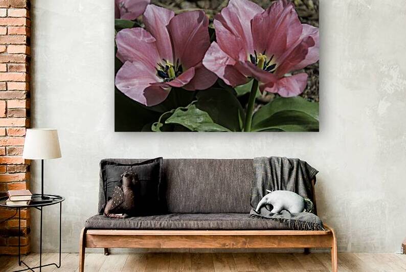 Double Pink Tulips Reproduction