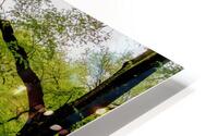 Spring In Central Park NYC HD Metal print