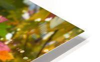 After Showering HD Metal print