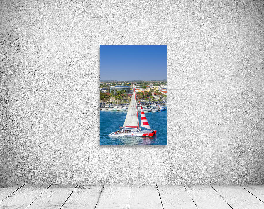 Red Sail Aruba Wall Preview