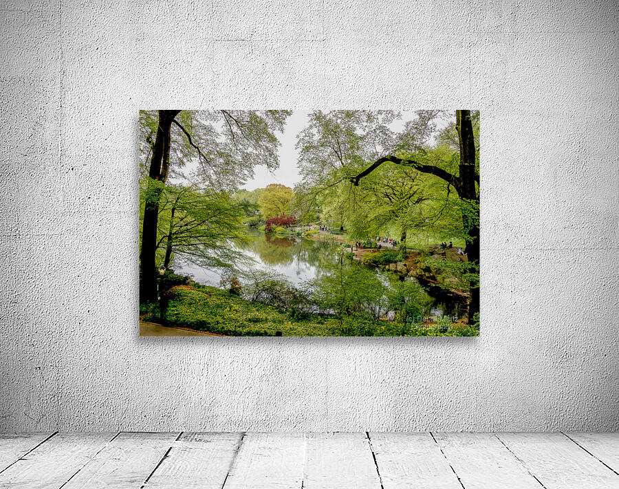 Spring In Central Park NYC Wall Preview