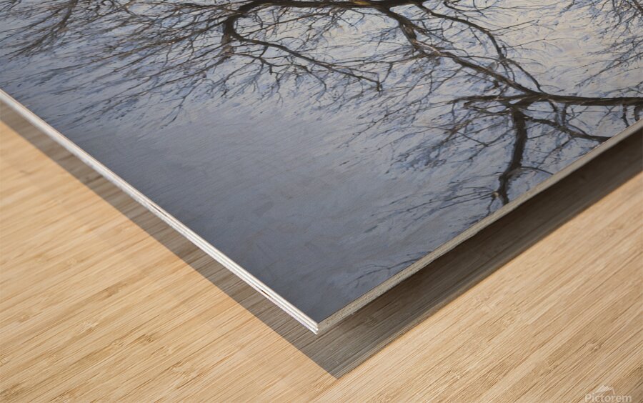 I Heart This Tree Painterly Wood print