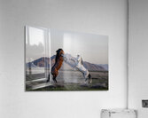 TRIUMPH Acrylic Print