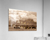 LEGACY Acrylic Print