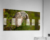 SPECTER Acrylic Print