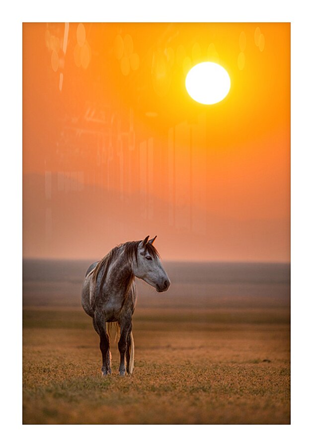 SOLITUDE Picture Frame print