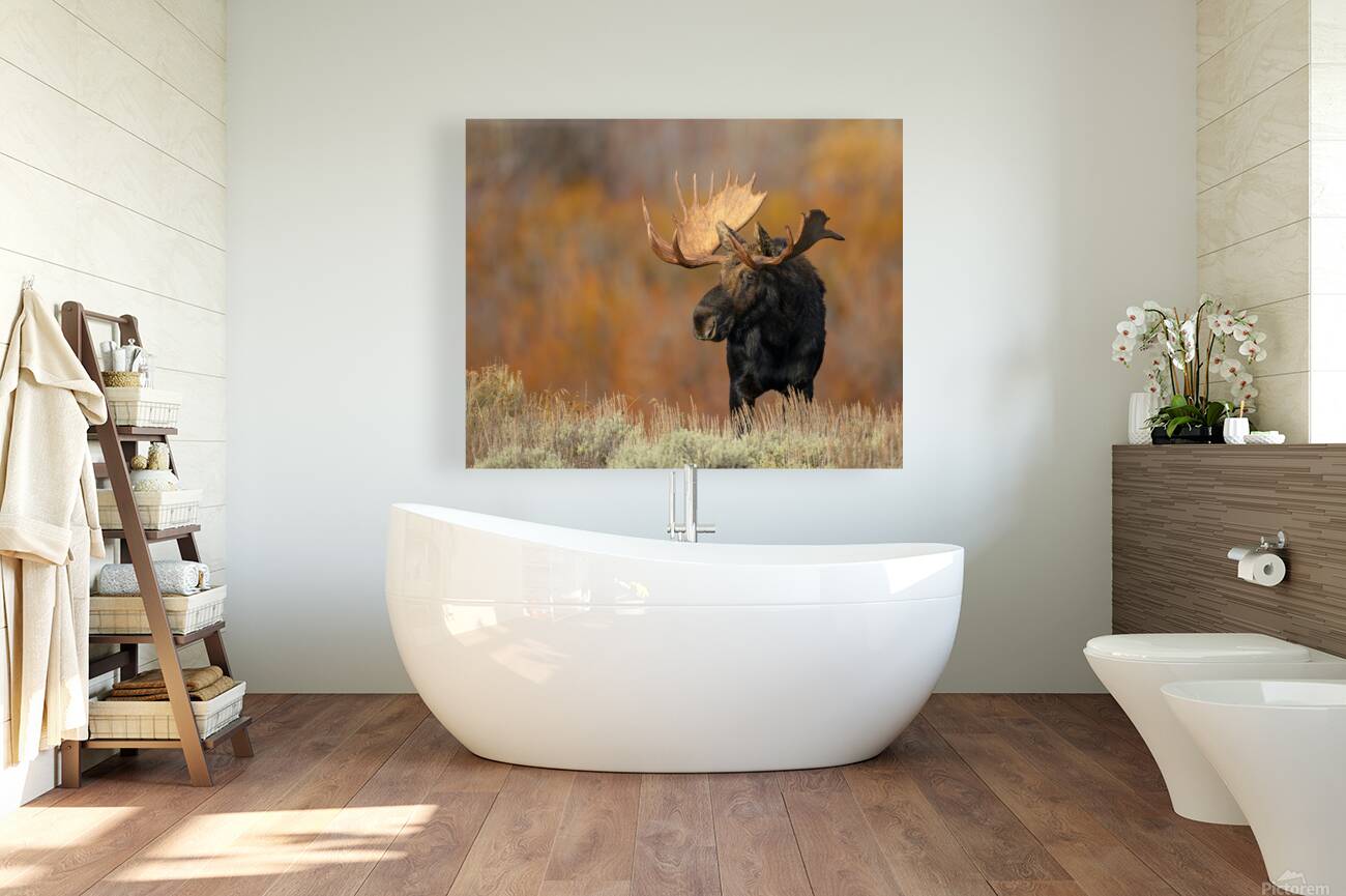 ALCES Reproduction