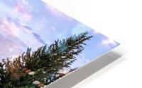 REFLECTION  HD Metal print