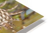 ERROLS LANDING HD Metal print