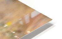 BONITA HD Metal print