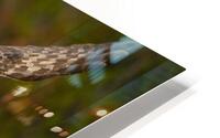 SPECTER 3 HD Metal print
