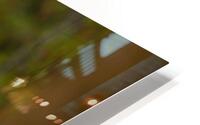 SPECTER 4 HD Metal print