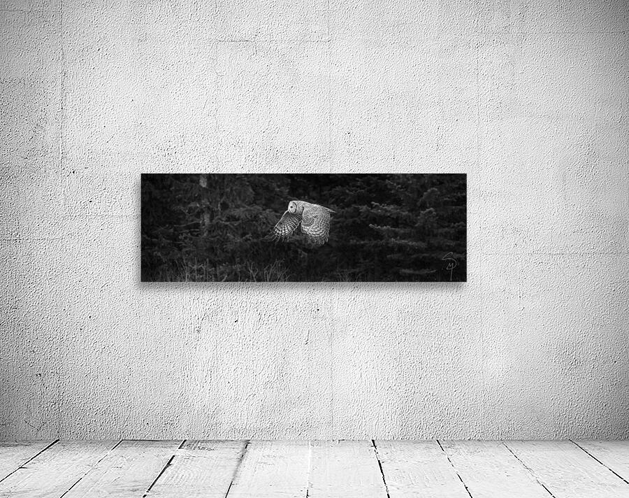 STRIX NEBULOSA  Wall Preview