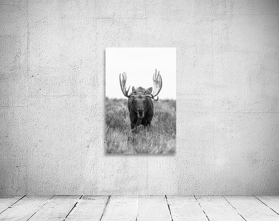 DIGNITY B W  Wall Preview
